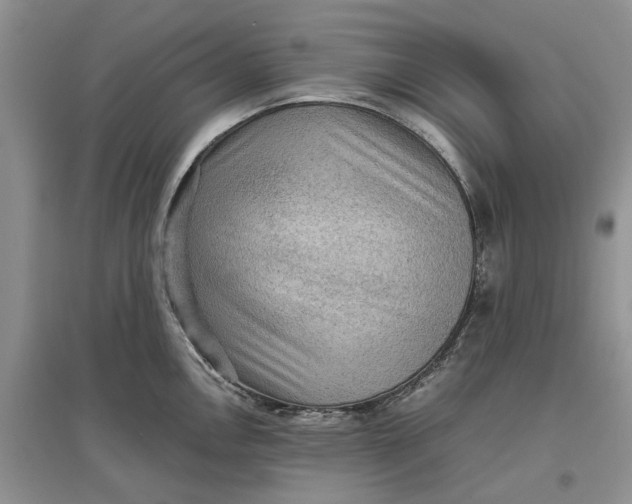 X0000097661146200803142126