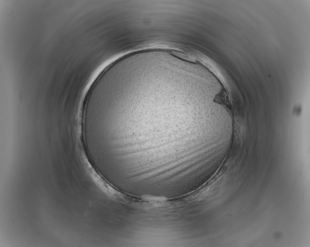 X0000097661148200803142126