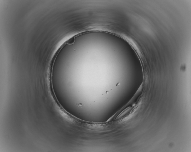 X0000097661149200803142126