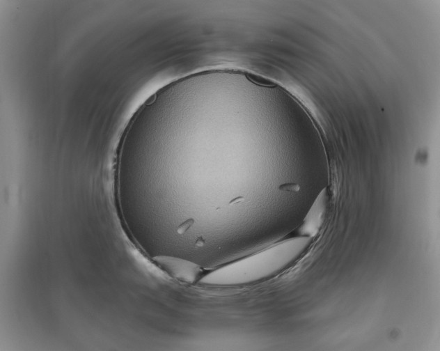 X0000097661151200803142126