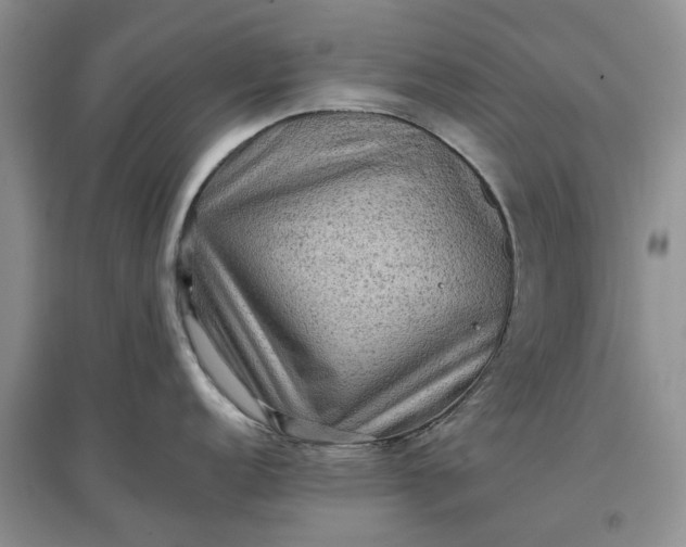 X0000097661152200803142126