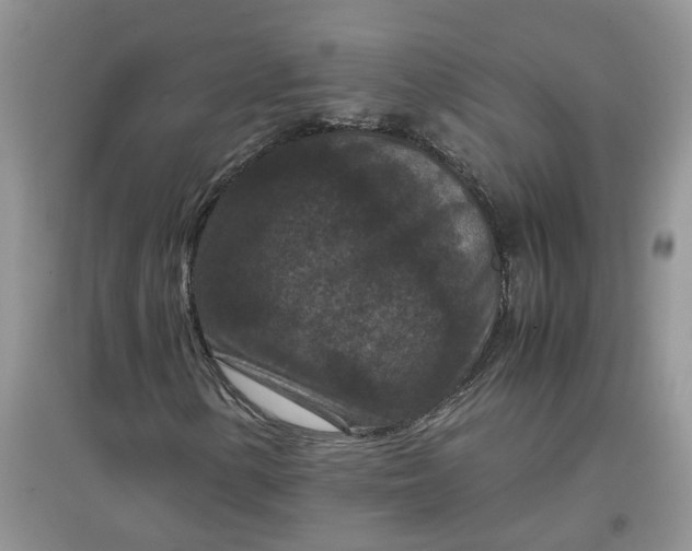 X0000097661154200803142125