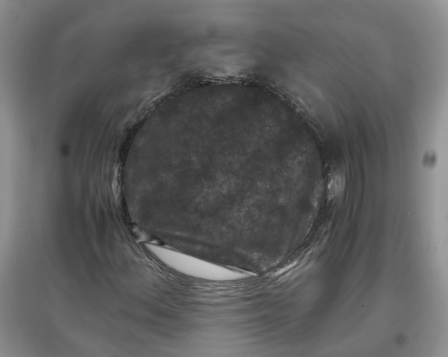 X0000097661156200803142125