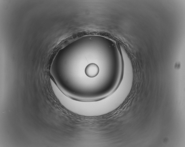 X0000097661157200803142125