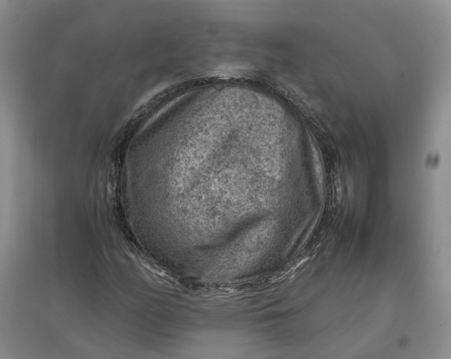 X0000097661158200803142125
