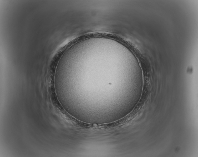 X0000097661159200803142125