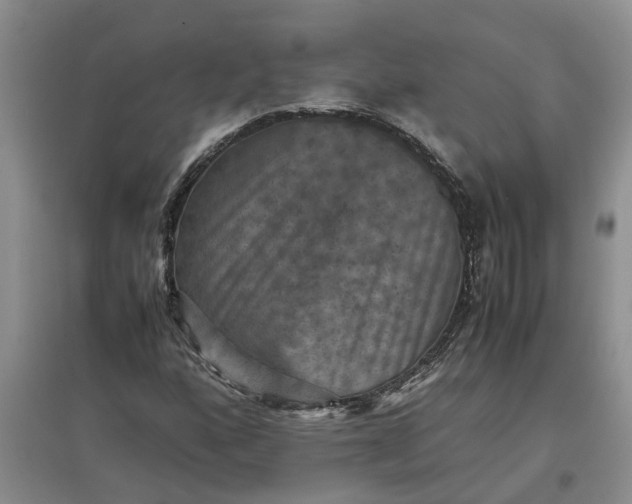 X0000097661160200803142125
