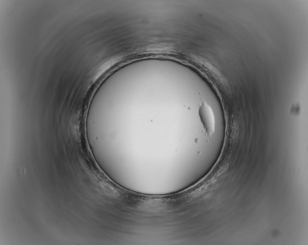 X0000097661162200803142125