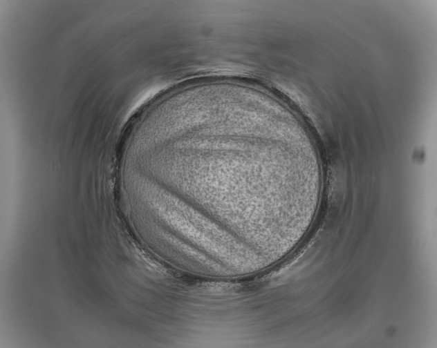 X0000097661163200803142125