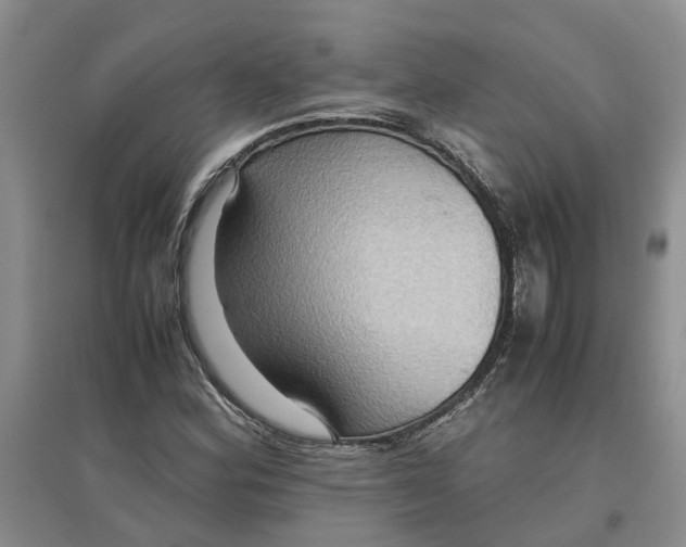 X0000097661164200803142125