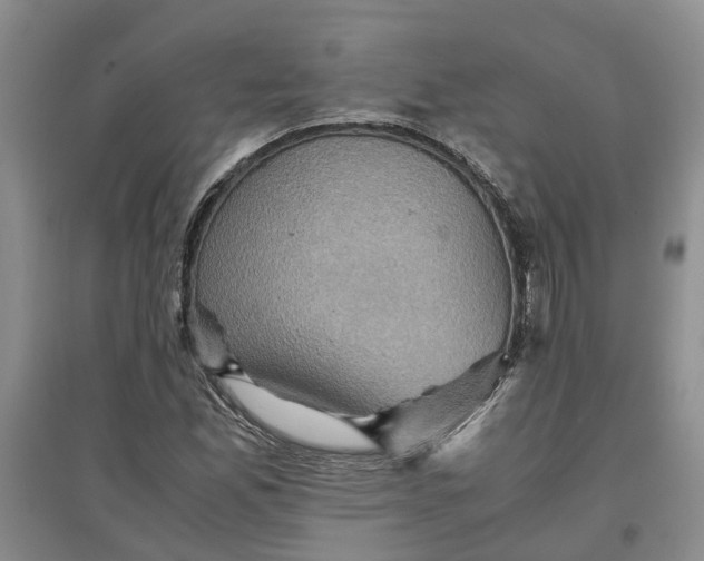 X0000097661165200803142125