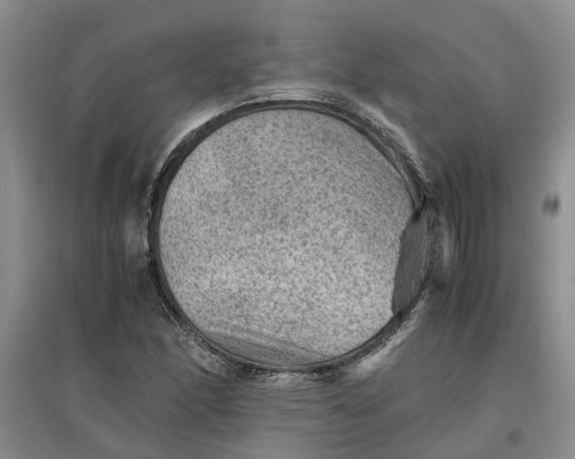 X0000097661166200803142125