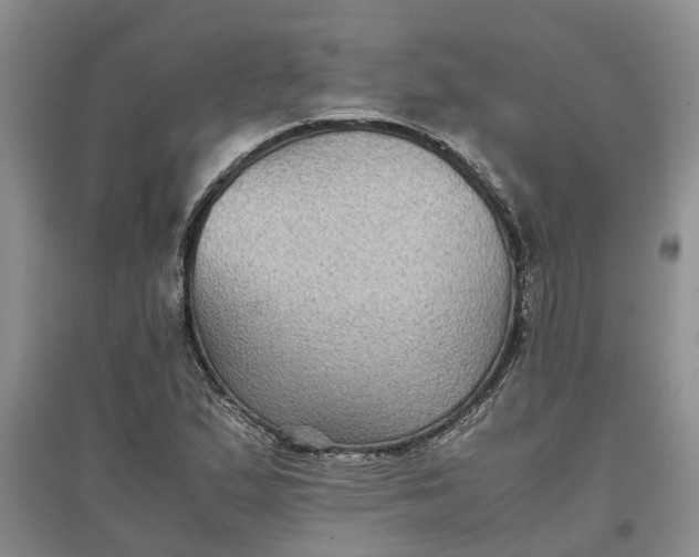 X0000097661167200803142125