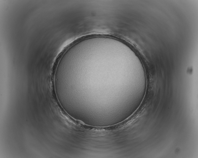 X0000097661168200803142125