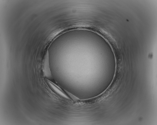 X0000097661169200803142125