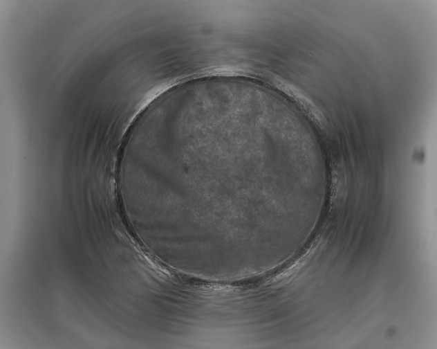 X0000097661170200803142125