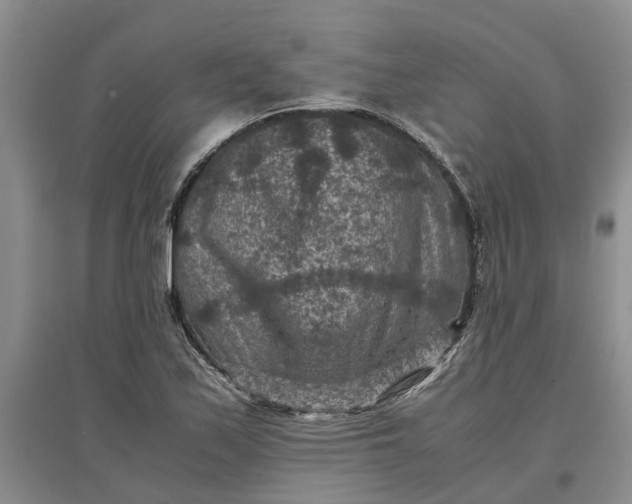 X0000097661171200803142125