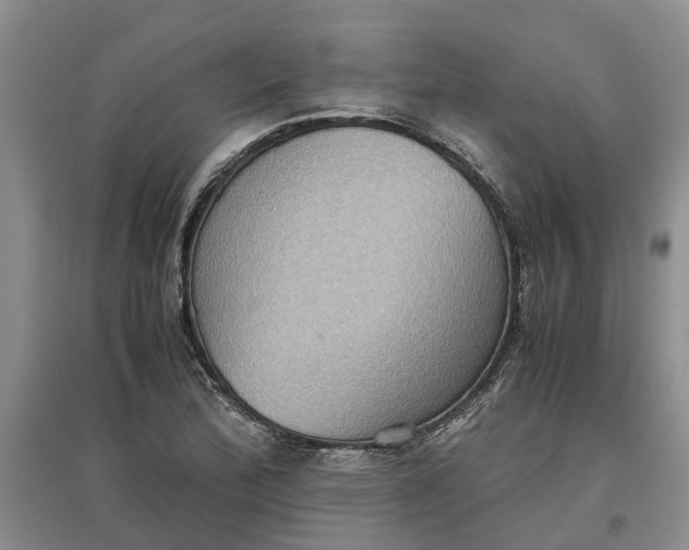 X0000097661172200803142125