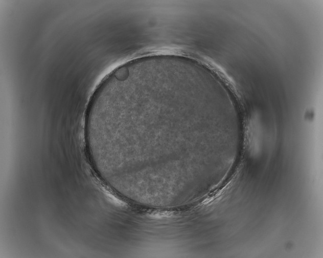 X0000097661174200803142125