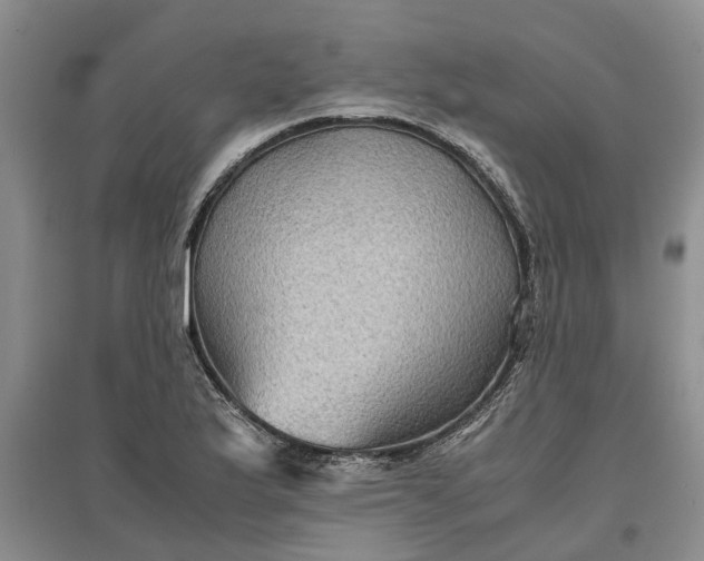 X0000097661175200803142125