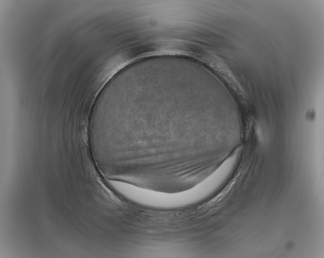 X0000097661177200803142125