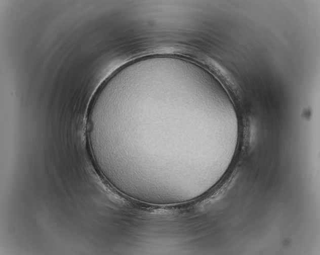 X0000097661178200803142125