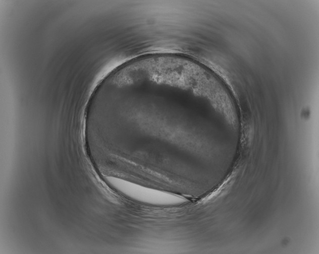 X0000097661179200803142125