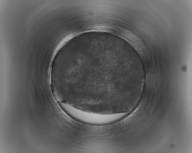 X0000097661180200803142125