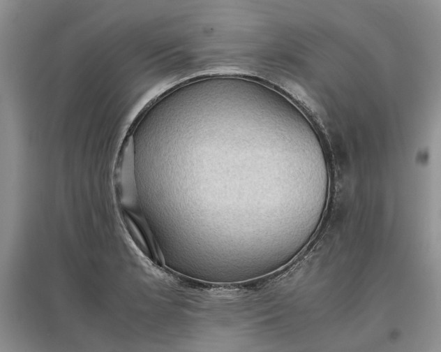 X0000097661181200803142125
