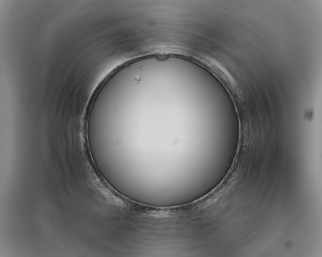 X0000097661182200803142125