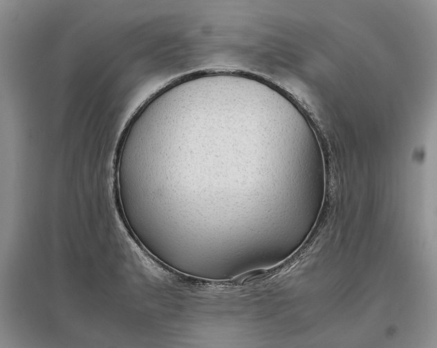 X0000097661183200803142125