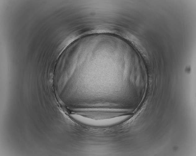 X0000097661185200803142125