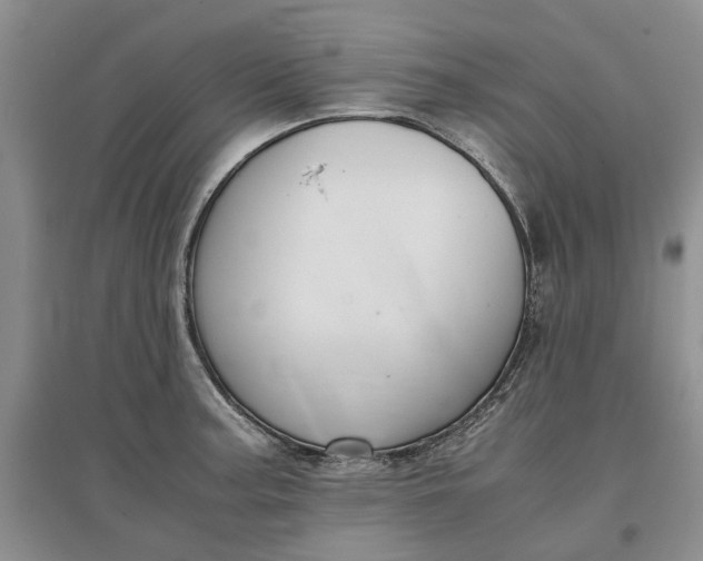 X0000097661187200803142125