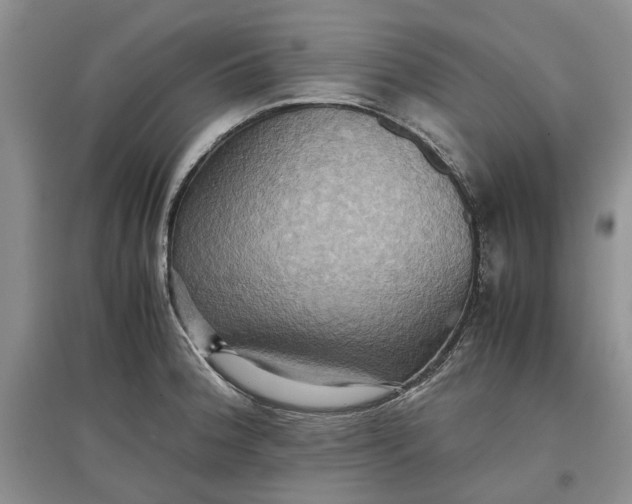 X0000097661188200803142125