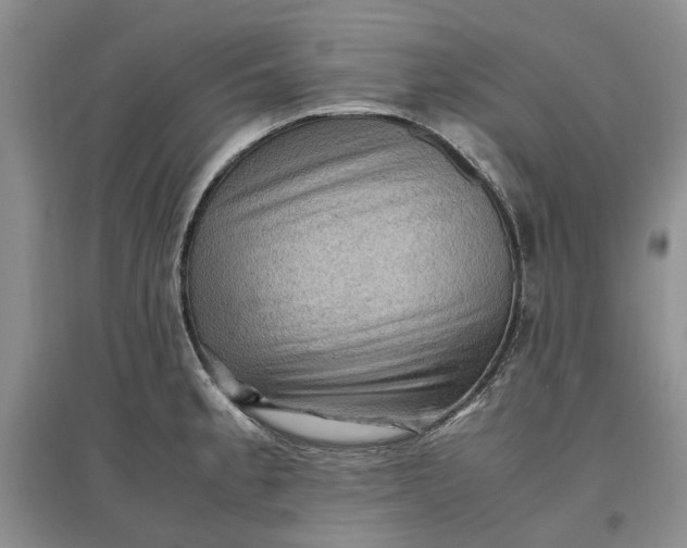 X0000097661189200803142125