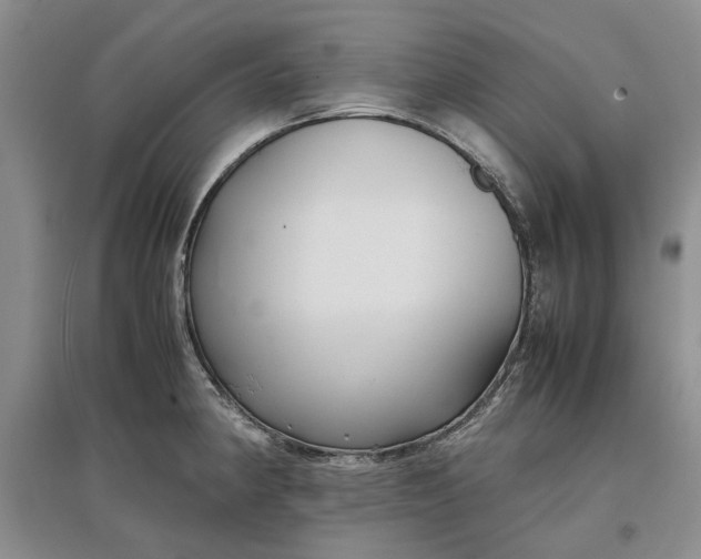 X0000097661190200803142125