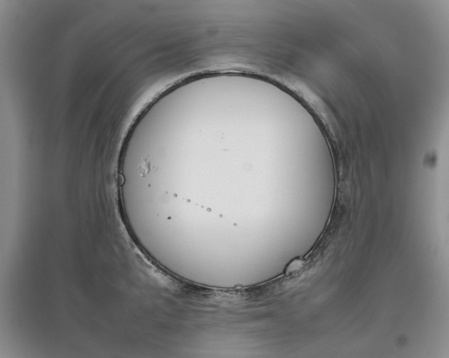 X0000097661191200803142125