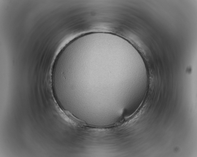X0000097661192200803142125
