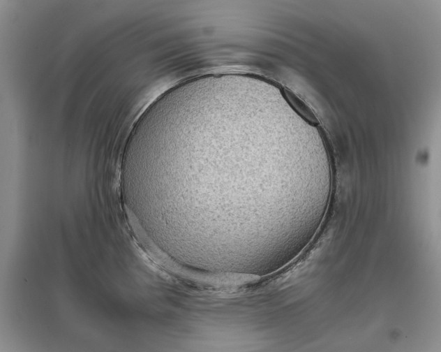 X0000097661193200803142125
