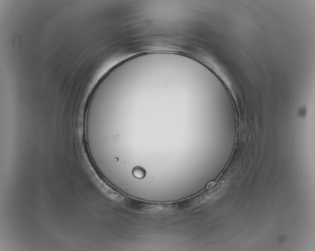 X0000097661195200803142125