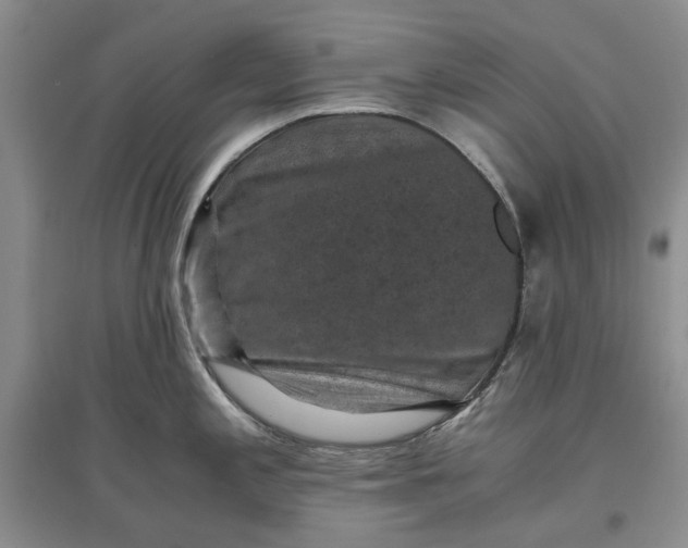 X0000097661197200803142125