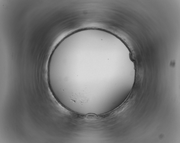X0000097661199200803142125