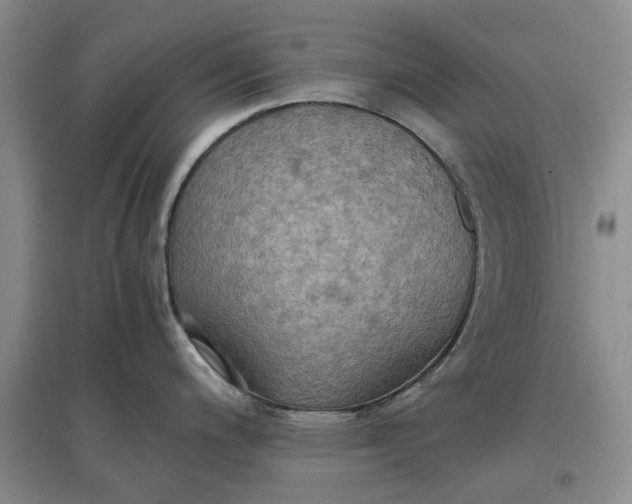 X0000097661200200803142125