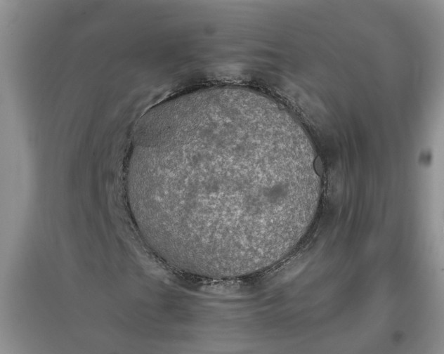 X0000097661201200803142124