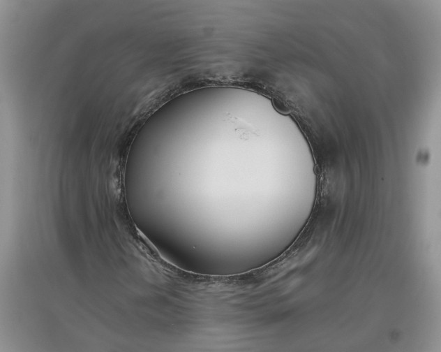 X0000097661202200803142124