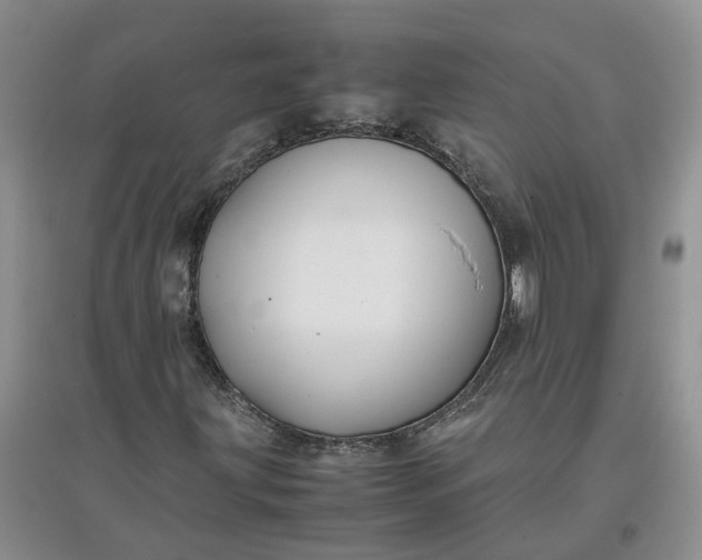 X0000097661203200803142124