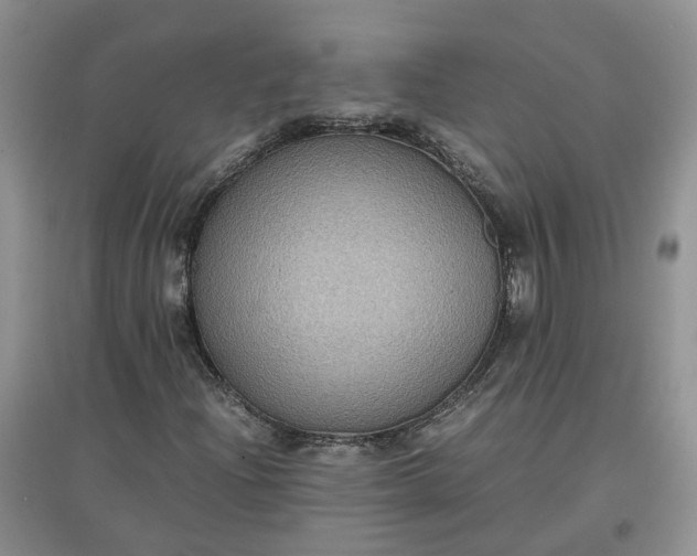 X0000097661204200803142124