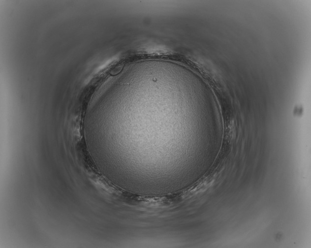 X0000097661205200803142124