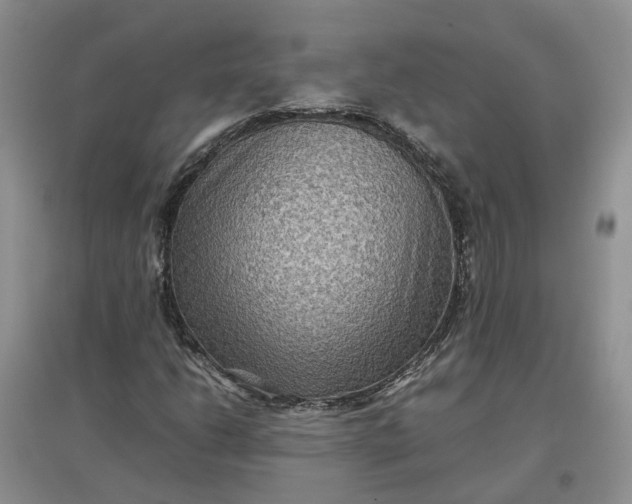 X0000097661206200803142124