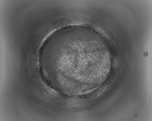 X0000097661208200803142124